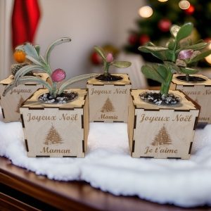 Pots de fleur
